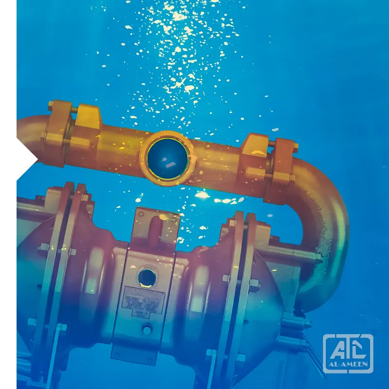 Wilden air-operated diaphragm pumps supplied in Kuwait by Al Ameen Company, Shuwaikh — [2 of 7]